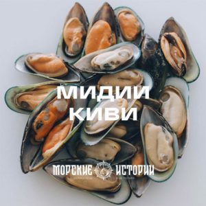 вкусные большие мидии киви