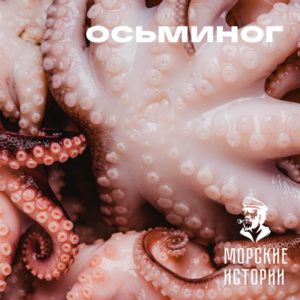 осьминог купить